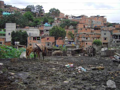 favela-alemao-4